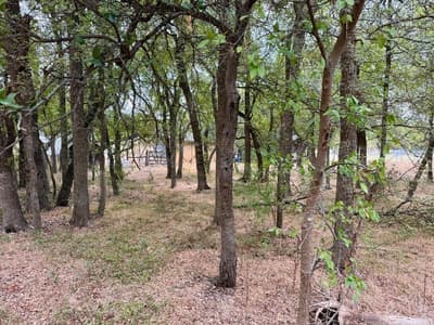 212 County Road 1746, Clifton TX 76634 - Photo 2