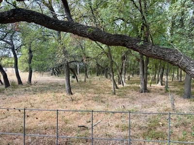 212 County Road 1746, Clifton TX 76634 - Photo 4
