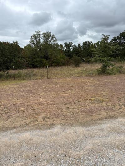 1377 County Road 3838, Bridgeport TX 76426 - Photo 4