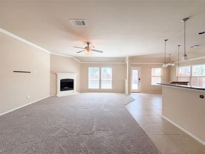 10217 Pear Valley Road, McKinney TX 75072 - Photo 3