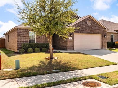 209 Emerald Creek Drive, Fort Worth TX 76131 - Photo 3