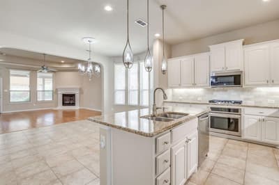 133 Mineral Point Drive, Aledo TX 76008 - Photo 4