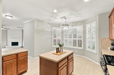 518 Briaroaks Drive, Lake Dallas TX 75065 - Photo 4