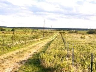3772 Dewebber Road, Bowie TX 76230 - Photo 4