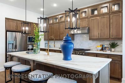 3744 Bermuda Grass Way, Venus TX 76084 - Photo 4