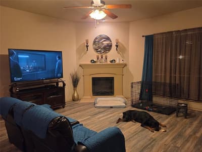 1026 Rio Vista Drive, DeSoto TX 75115 - Photo 3