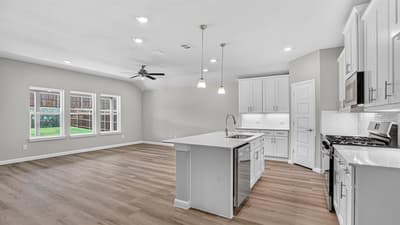 1509 SHELDON Drive, DeSoto TX 75115 - Photo 4