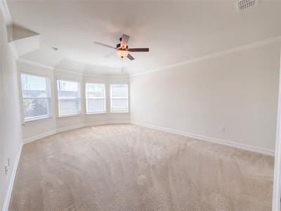3412 Lillian Court, Celina TX 75009 - Photo 4