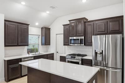 7428 Wispy Willow Lane, Little Elm TX 76227 - Photo 3