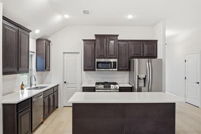 7428 Wispy Willow Lane, Little Elm TX 76227 - Photo 4