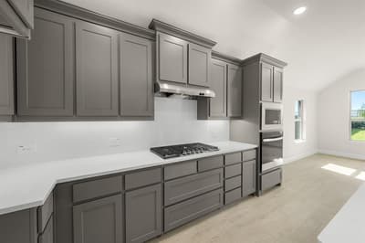 1123 Nighthawk Drive, Justin TX 76247 - Photo 4