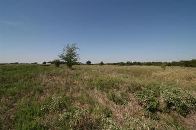 28084 Fm 47, Canton TX 75103 - Photo 5