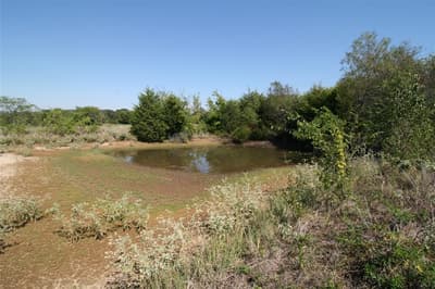 28084 Fm 47, Canton TX 75103 - Photo 4