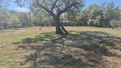1006 SE Martin Luther King Jr Street SE, Mineral Wells TX 76067 - Photo 3