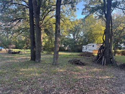 115 Seaside Drive, Gun Barrel City TX 75156 - Photo 4