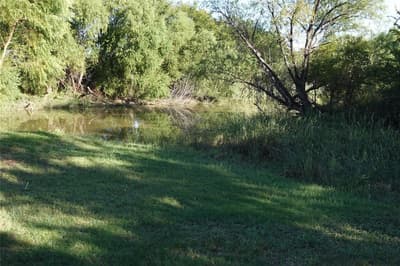 300 Hogg Creek Road, Brownwood TX 76801 - Photo 3