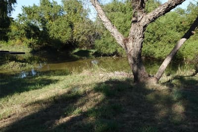 300 Hogg Creek Road, Brownwood TX 76801 - Photo 4