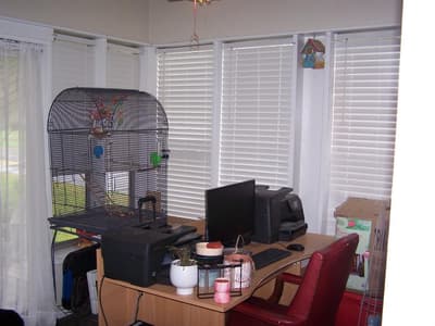 900 W Washington Street, Sherman TX 75092 - Photo 4