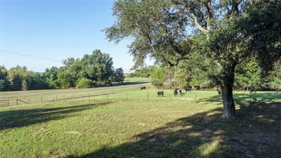 2529 W Highway 11, Pittsburg TX 75686 - Photo 2