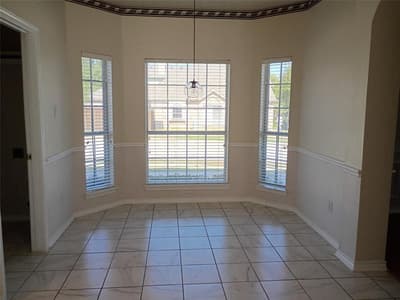 3005 Birch Leaf Place, Flower Mound TX 75022 - Photo 4