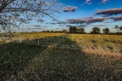 7001 Highway 6, De Leon TX 76444 - Photo 2