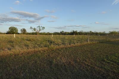 7001 Highway 6, De Leon TX 76444 - Photo 3