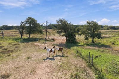 1654 Lincoln City Road, Elm Mott TX 76640 - Photo 5