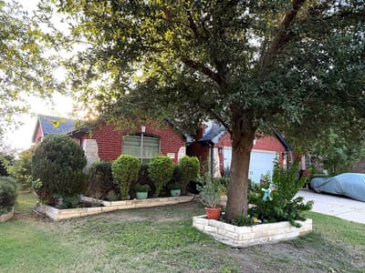 416 Wooded Creek Avenue, Wylie TX 75098 - Photo 2
