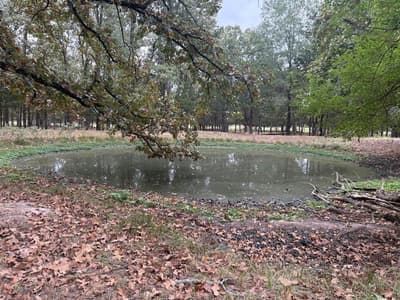 1150 County Road 43900 # 43900, Paris TX 75462 - Photo 5