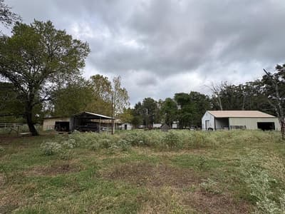 1150 County Road 43900 # 43900, Paris TX 75462 - Photo 4
