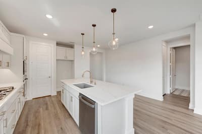 1100 Amaryllis Lane, Little Elm TX 75068 - Photo 4