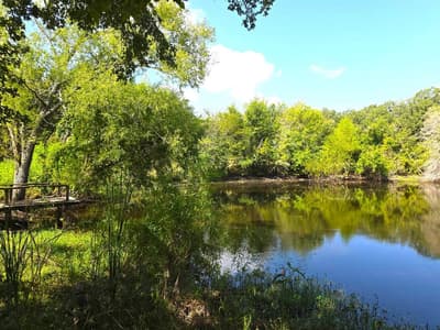 982 Lcr 131, Mount Calm TX 76673