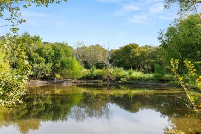 982 Lcr 131, Mount Calm TX 76673 - Photo 4