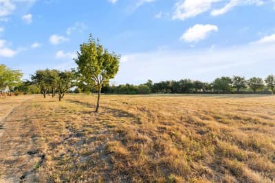 601 & 595 Parker Road, Wylie TX 75098 - Photo 5