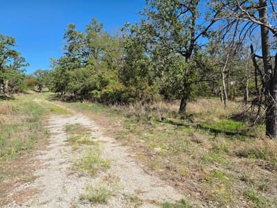 1633 Three Skillet Road, Springtown TX 76082 - Photo 2