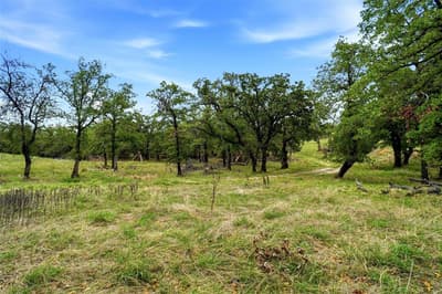 1633 Three Skillet Road, Springtown TX 76082 - Photo 3