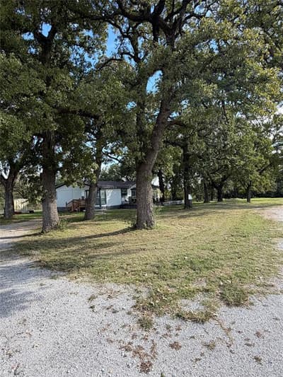 4494 Fm 1810, Chico TX 76431 - Photo 5
