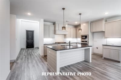 1405 Mistflower Lane, Celina TX 75009 - Photo 4