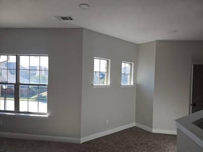 13612 Cortes De Pallas Drive, Little Elm TX 75068 - Photo 4