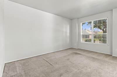 4205 Red Spruce Lane, Carrollton TX 75010 - Photo 4