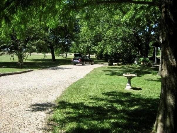 5544 Farm Road 905, Paris TX 75462 - Photo 2