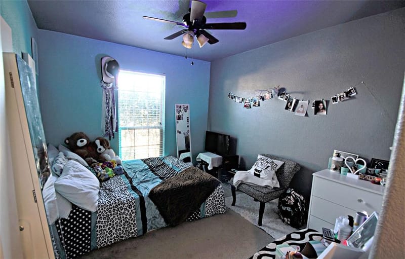 3702 Dogwood Road, Melissa TX 75454 - Photo 13