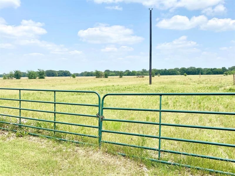 12053 S HWY 34, Scurry TX 75158 - Photo 6