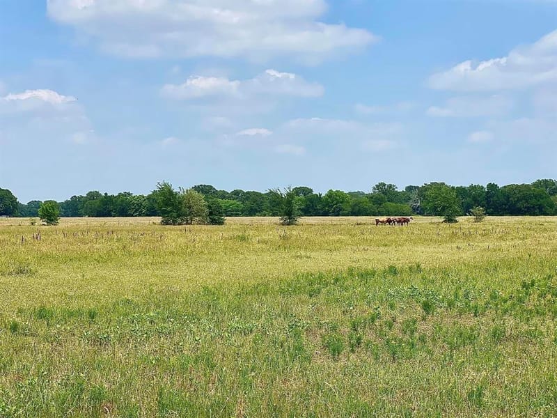 12053 S HWY 34, Scurry TX 75158 - Photo 8