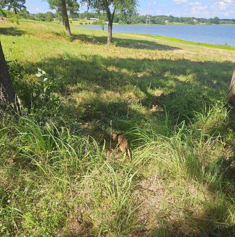 371 Private Road 7327, Emory TX 75440 - Photo 40