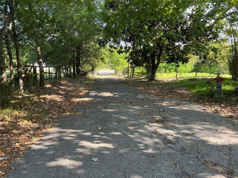 7687 Fm 17, Grand Saline TX 75140 - Photo 20
