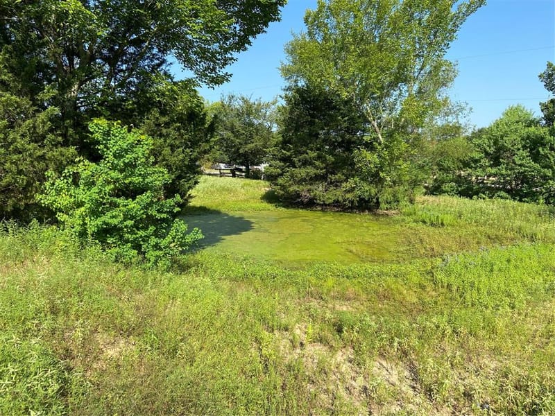 7687 Fm 17, Grand Saline TX 75140 - Photo 31
