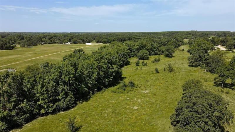 10142 FM 773, Murchison TX 75778 - Photo 23
