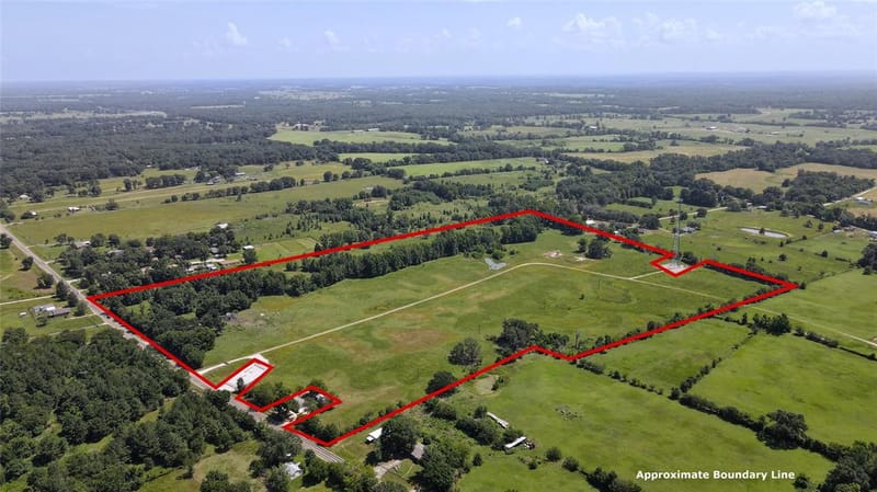 10142 FM 773, Murchison TX 75778 - Photo 2