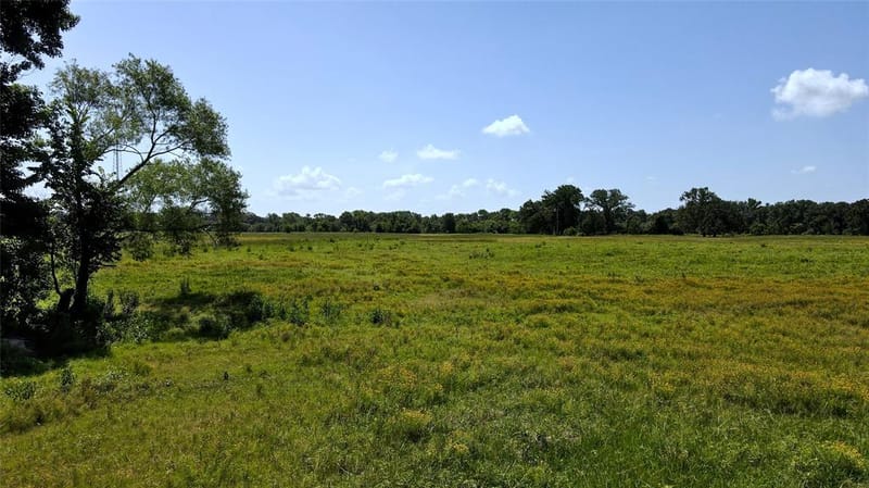 10142 FM 773, Murchison TX 75778 - Photo 26